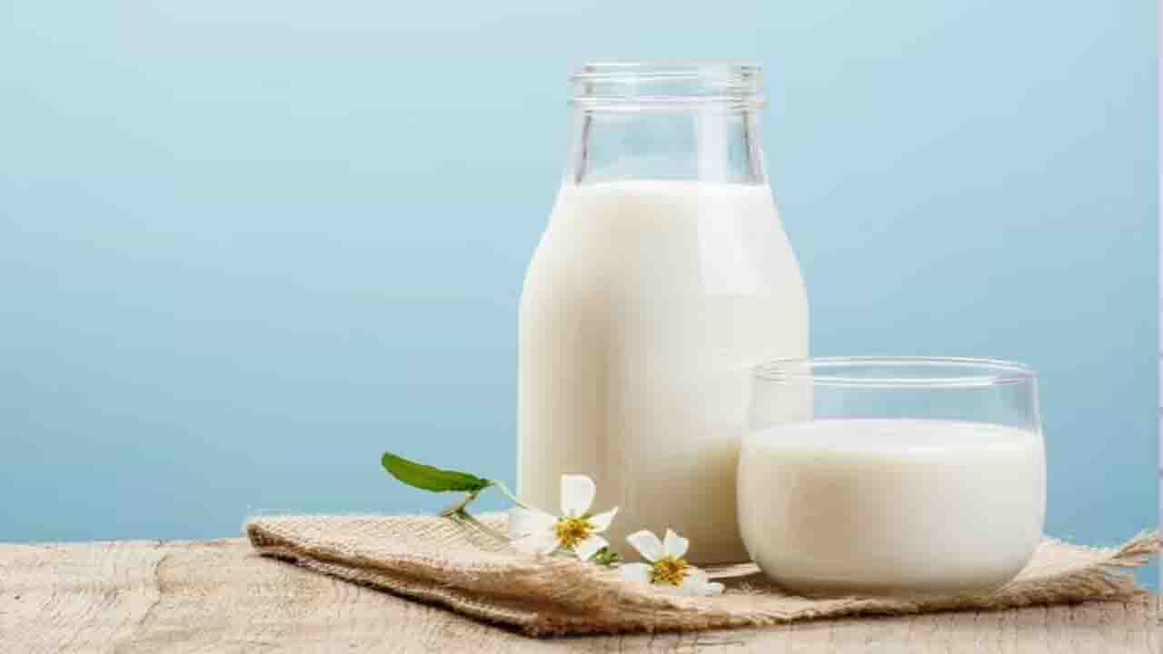 Cow Milk vs Buffalo Milk: Which Is Better for You?