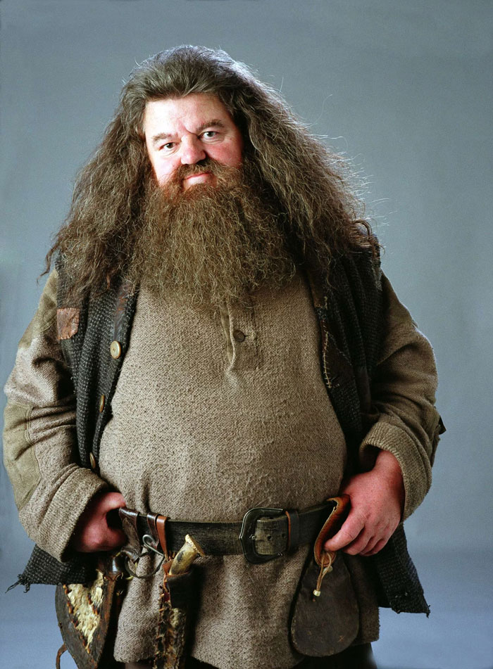 Hagrid or Halloween? Fans Roast HBO’s First Look