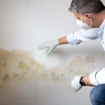 How to Prevent Dampness and Mold At Home During Monsoons