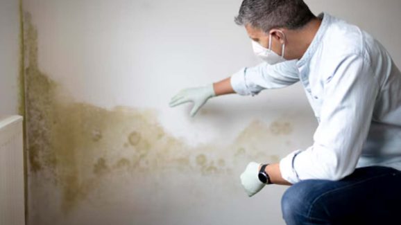 How to Prevent Dampness and Mold At Home During Monsoons