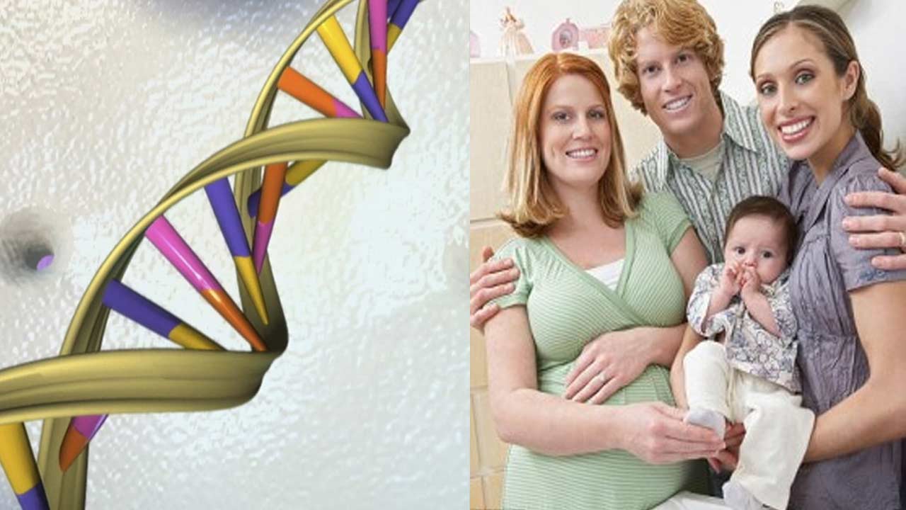 Healthy Babies Born Using DNA From Three Parents, How Is That Possible?