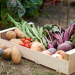 6 Vegetables You Can Easily Grow at Home