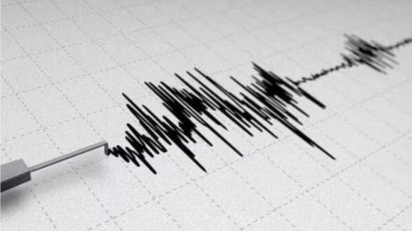 3.1-Magnitude Earthquake Strikes Vikarabad, Telangana