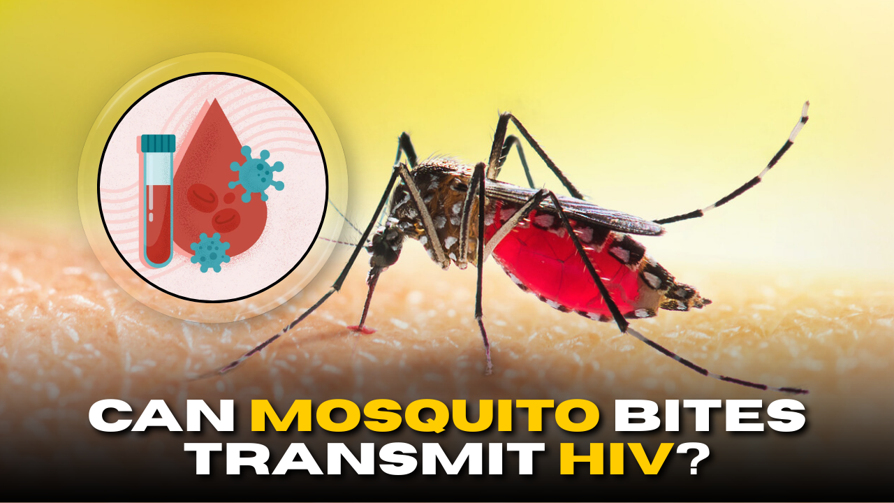 Can Mosquito Bites Transmit HIV?