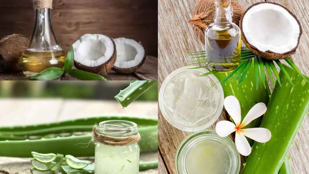 Coconut Oil vs Aloe Vera: Which is Better for Skin?