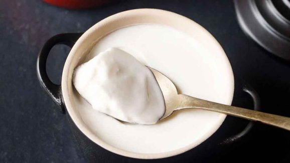 Top 6 Tips to Make Thick and Creamy Curd at Home