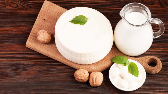 Curd vs Yogurt for Weight Loss: Which Should You Choose?