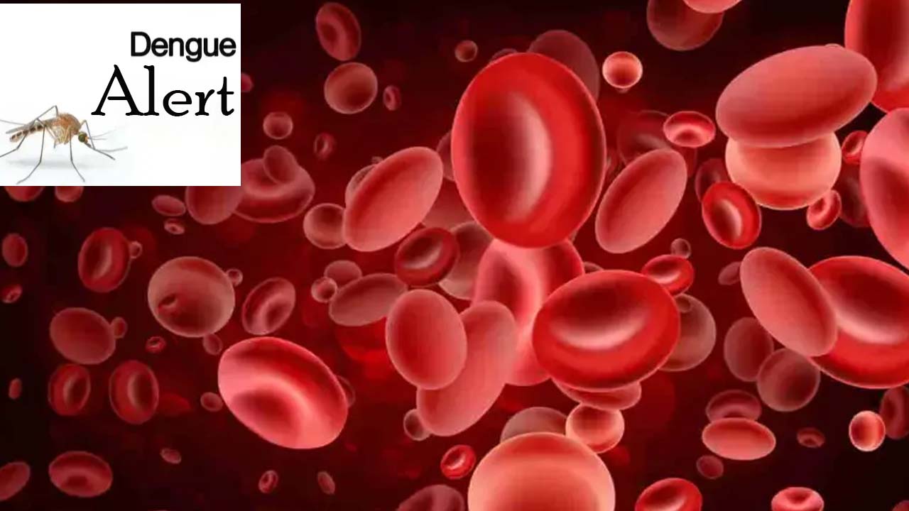 Low Platelet Count? These Fruits Are The Best Natural Remedy