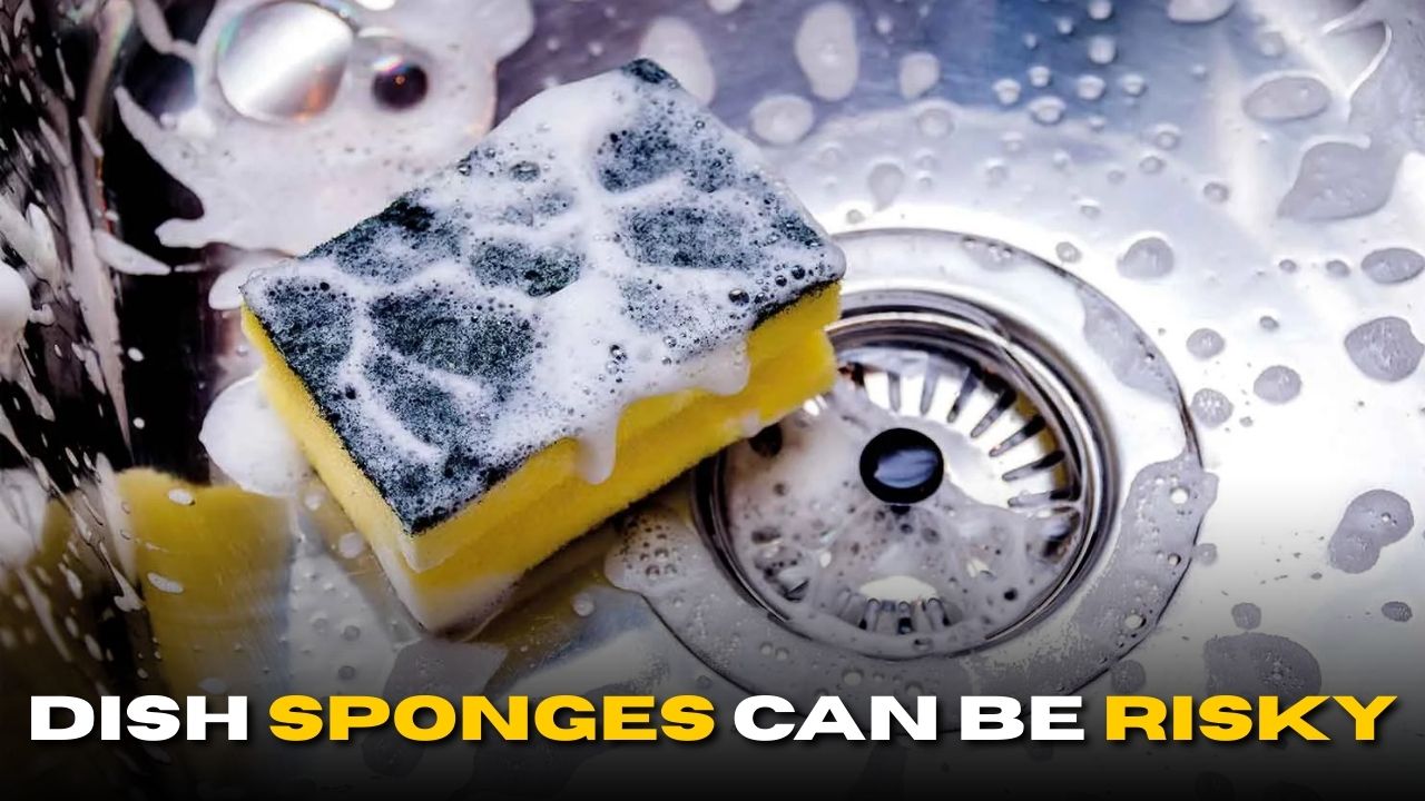 Dish Sponges Can Be Risky: 5 Things You Should Know