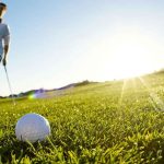 Golfer Wins Rs 8 Crore After Fly Helps Him Score: Here’s How