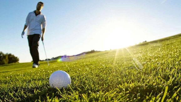 Golfer Wins Rs 8 Crore After Fly Helps Him Score: Here’s How