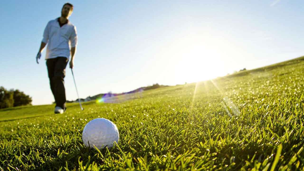Golfer Wins Rs 8 Crore After Fly Helps Him Score: Here’s How