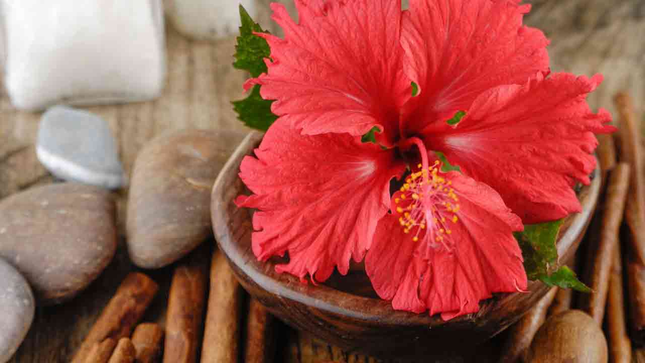 Red Hibiscus for Hair: Natural Remedies to Reduce Dandruff and Hair Fall