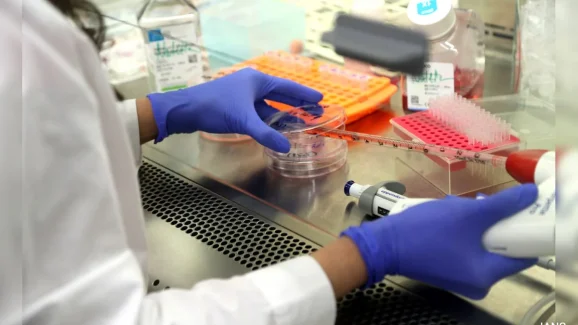 Breakthrough in Medicine: Scientists Grow World’s First Lab-Made Human Skin with Blood Supply