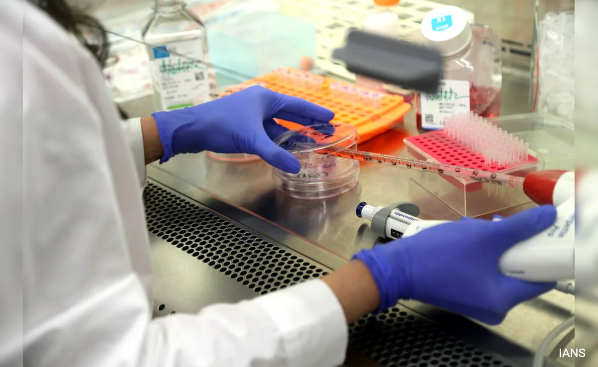 Breakthrough in Medicine: Scientists Grow World’s First Lab-Made Human Skin with Blood Supply