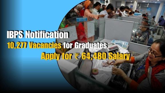IBPS Recruitment 2025: 10,277 Vacancies for Graduates – Apply Now