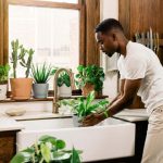 Perfect Plants for Your Kitchen That Double as Fresh Ingredients