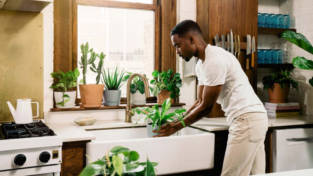Perfect Plants for Your Kitchen That Double as Fresh Ingredients