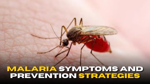 World Mosquito Day 2025: Malaria Symptoms and Prevention Strategies
