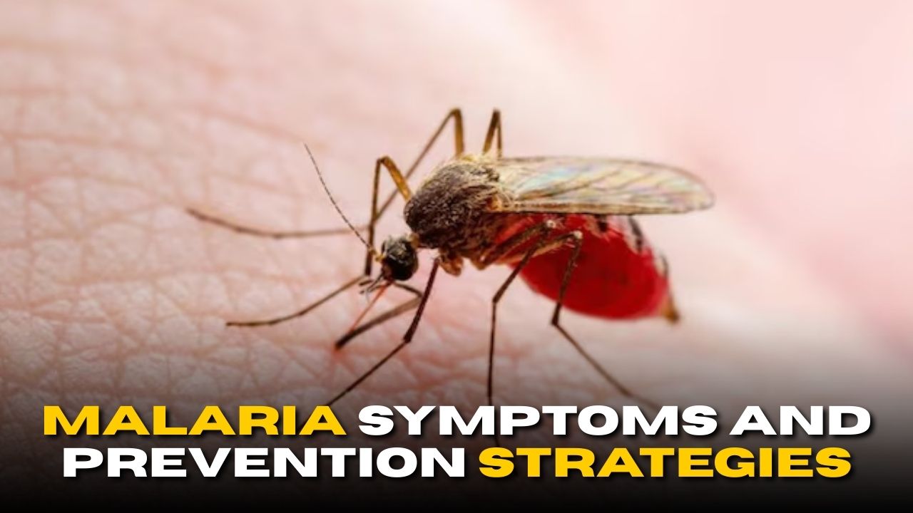 World Mosquito Day 2025: Malaria Symptoms and Prevention Strategies