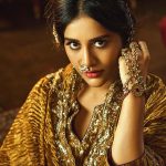 Nabha Natesh Channels Royal Elegance in Her Breathtaking Outfit