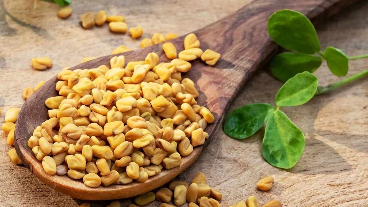 Health Benefits of Fenugreek Seed Sprouts: Remedy for Various Ailments
