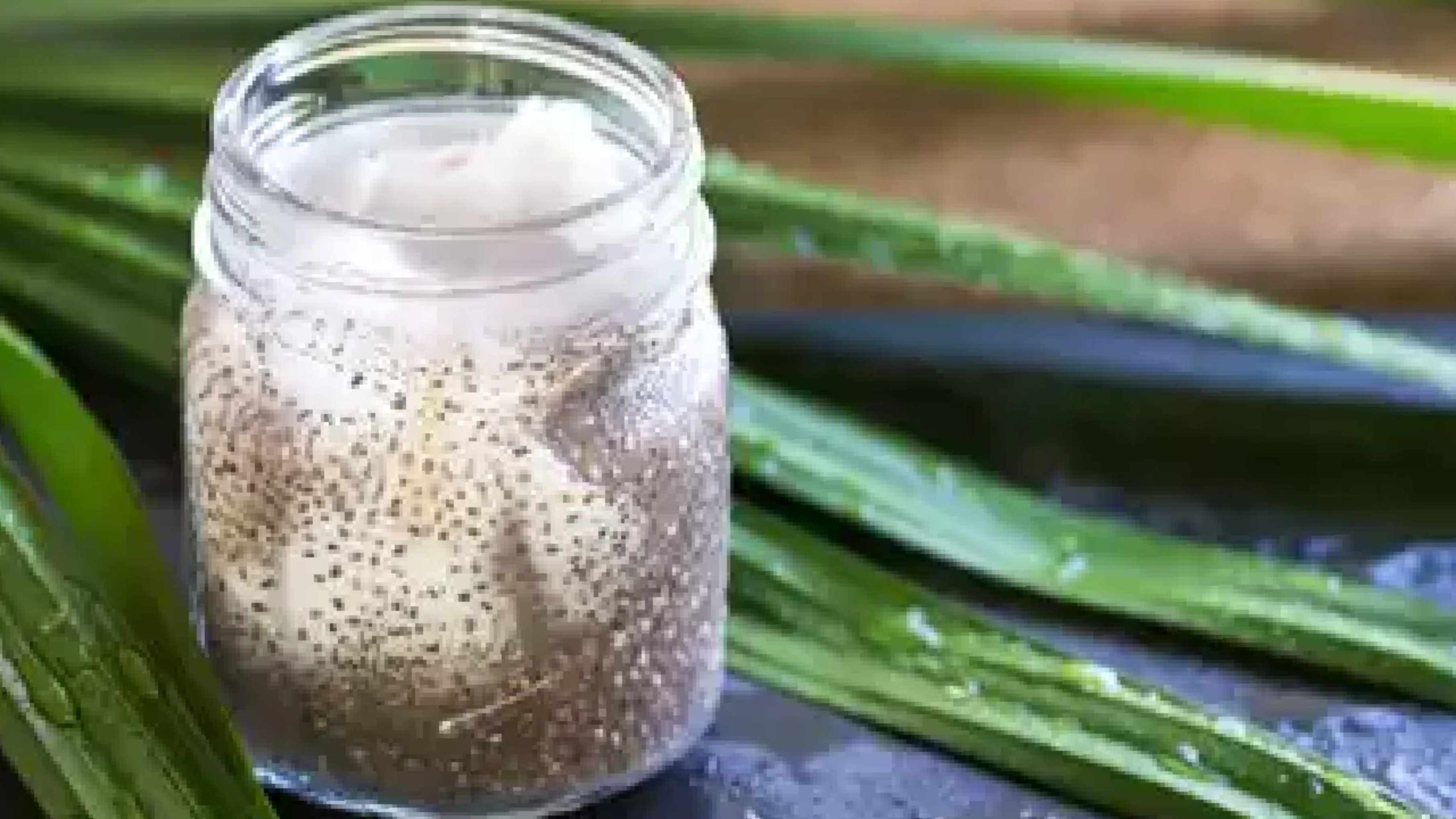 5 Reasons to Include Soaked Chia Seeds with Coconut Water in Morning Routine?