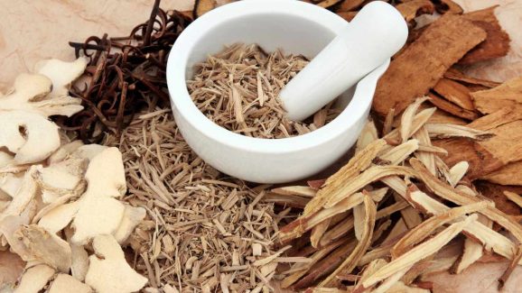 Herbal Remedies for Better Digestion: Top 5 Herbs to Try