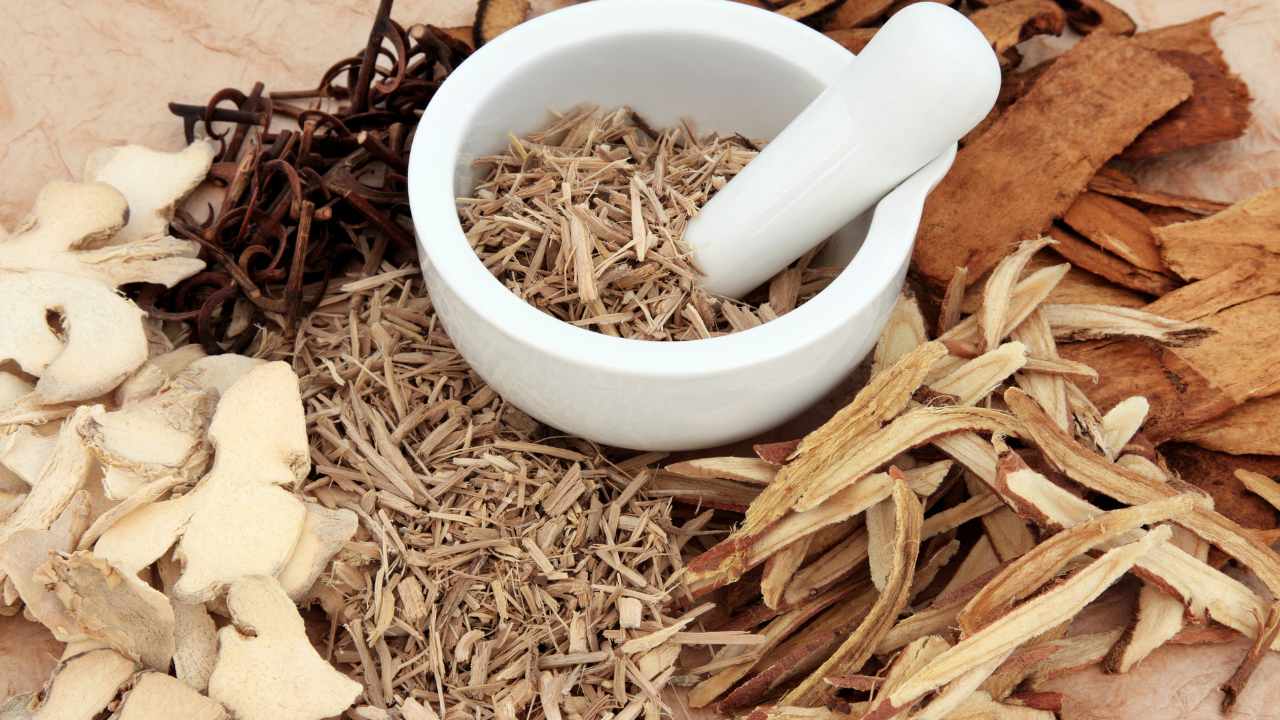 Herbal Remedies for Better Digestion: Top 5 Herbs to Try