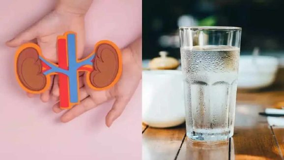 How Much Water Should You Drink for Healthy Kidneys?