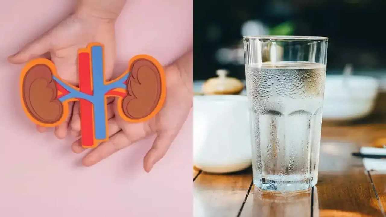 How Much Water Should You Drink for Healthy Kidneys?