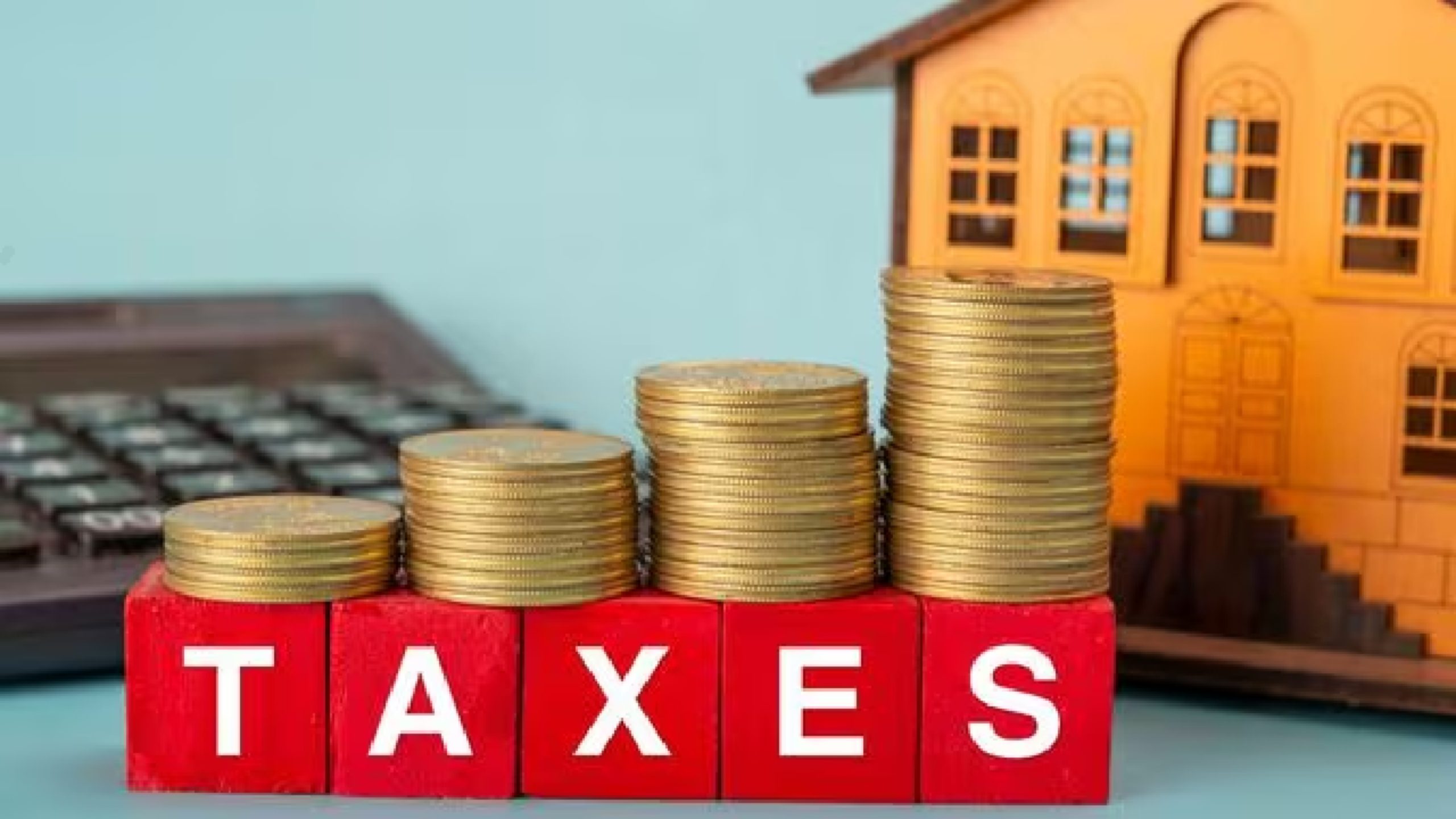 Income Tax Filing 2025: 10 Essential Terms Every Taxpayer Should Know