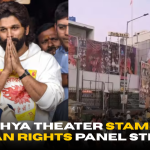 Pushpa 2 Sandhya Theater Stampede: Human Rights Panel Steps In