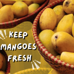 Smart Ways to Keep Mangoes Fresh for Longer