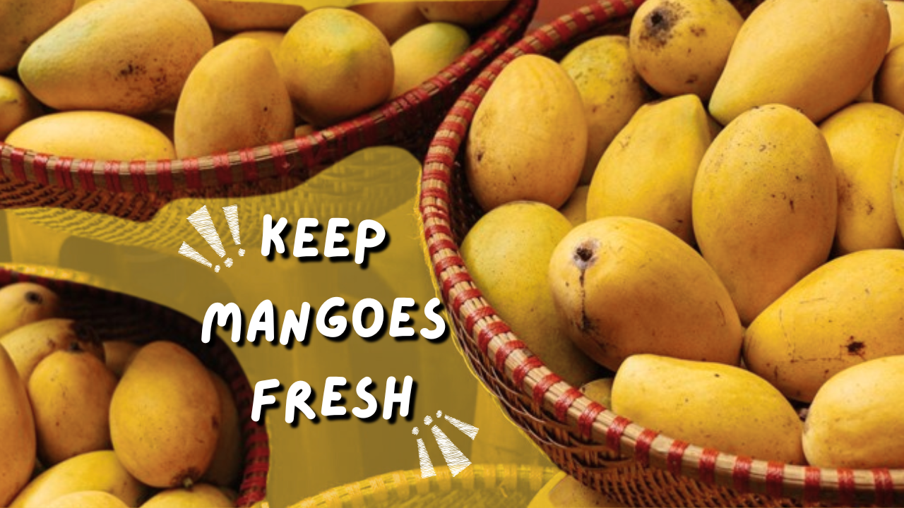 Smart Ways to Keep Mangoes Fresh for Longer