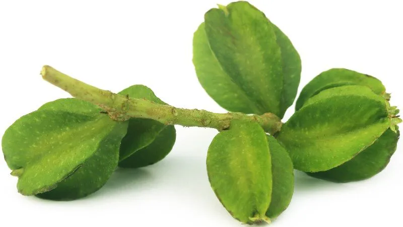Prevent Heart Attack Naturally with This ₹15 Herb