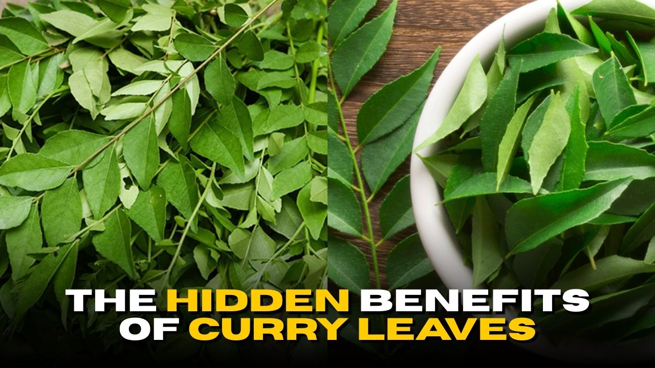 The Hidden Benefits of Curry Leaves