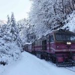 Top 5 Scenic Train Journeys in India to Enjoy This Independence Day Weekend