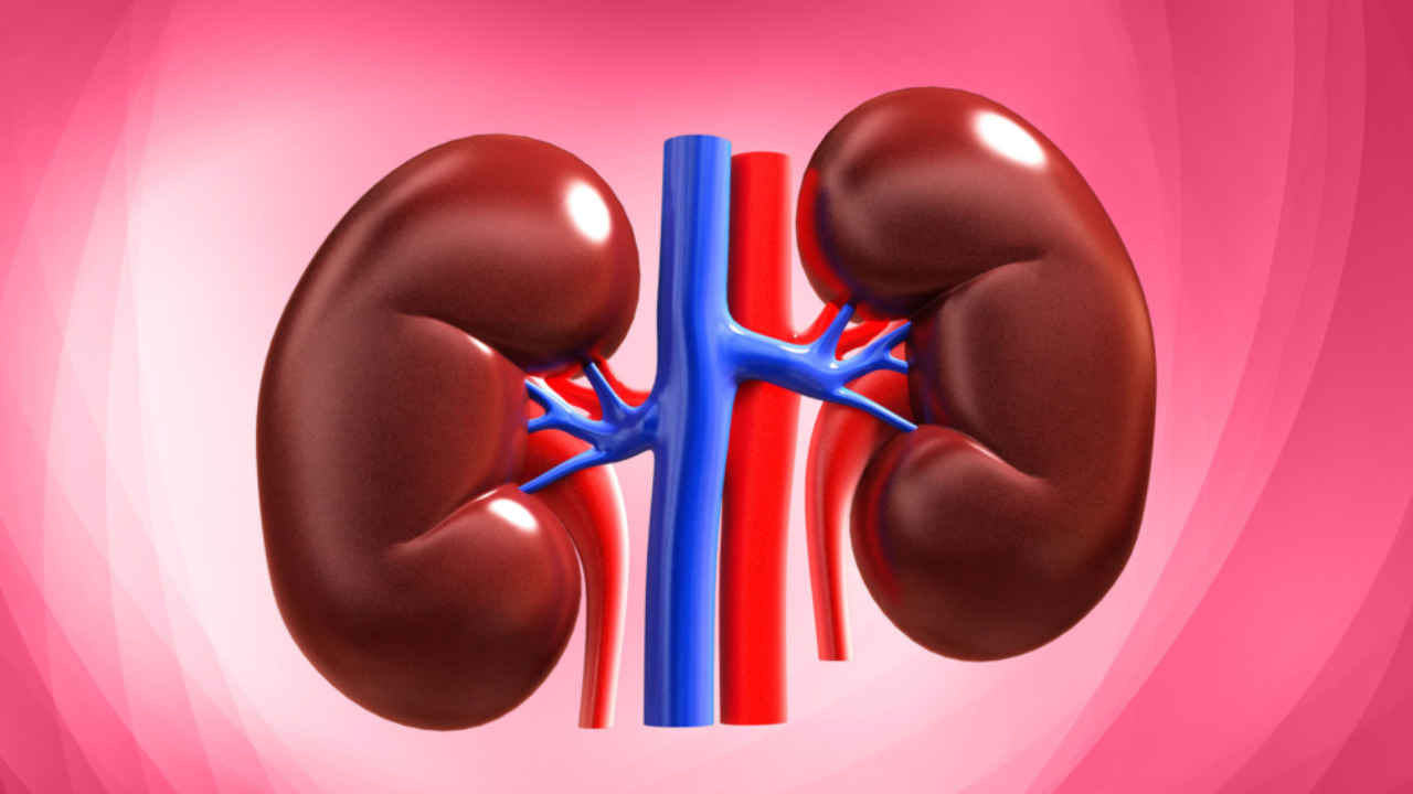 7 Daily Habits That Secretly Damage Your Kidneys