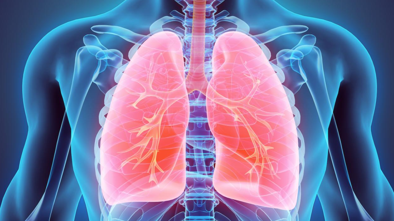 How to Check If Your Lungs Are Healthy