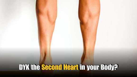 Which Muscle Is the Second Heart? What If You Ignore It?