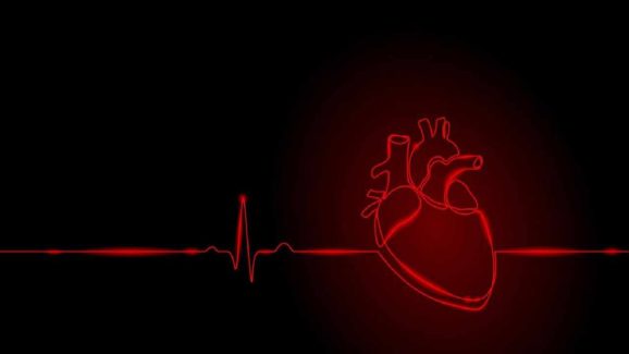Heart Health Tips to Prevent Heart Disease at Every Age