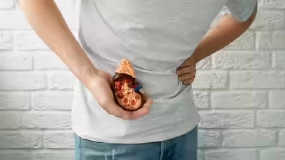 Top 7 Dietary Habits that Trigger Kidney Stones