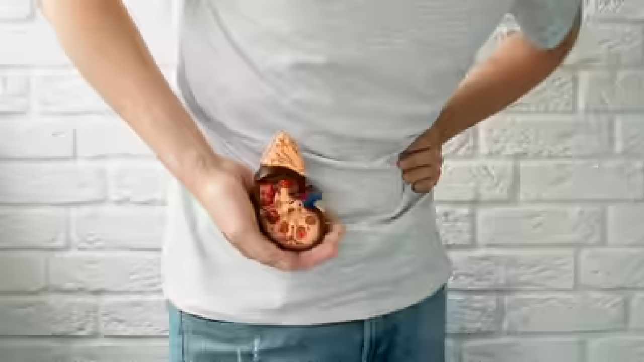 Kidney Cancer Early Symptoms You Should Never Ignore