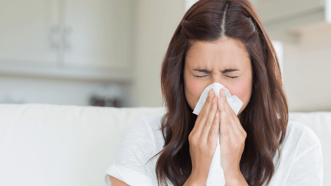 Top 5 Hidden Household Factors That Cause Sneezing and Allergies