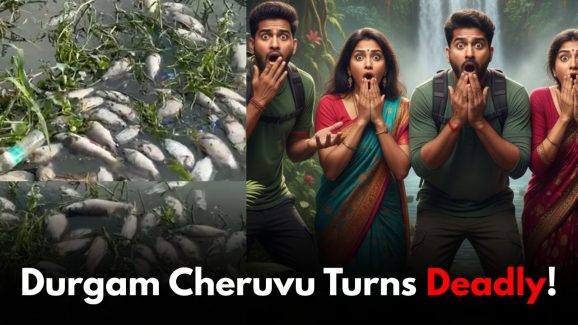 Durgam Cheruvu Turns Deadly: Complete Fish Kill Reported