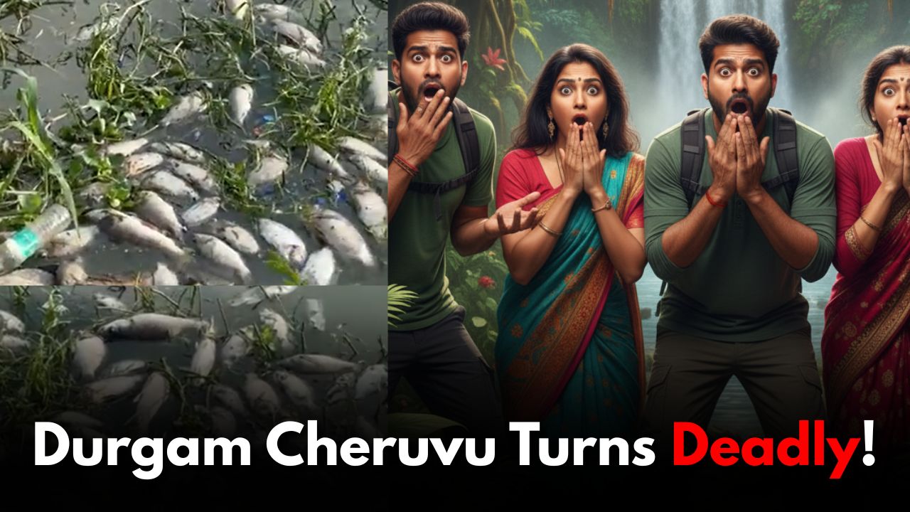 Durgam Cheruvu Turns Deadly: Complete Fish Kill Reported
