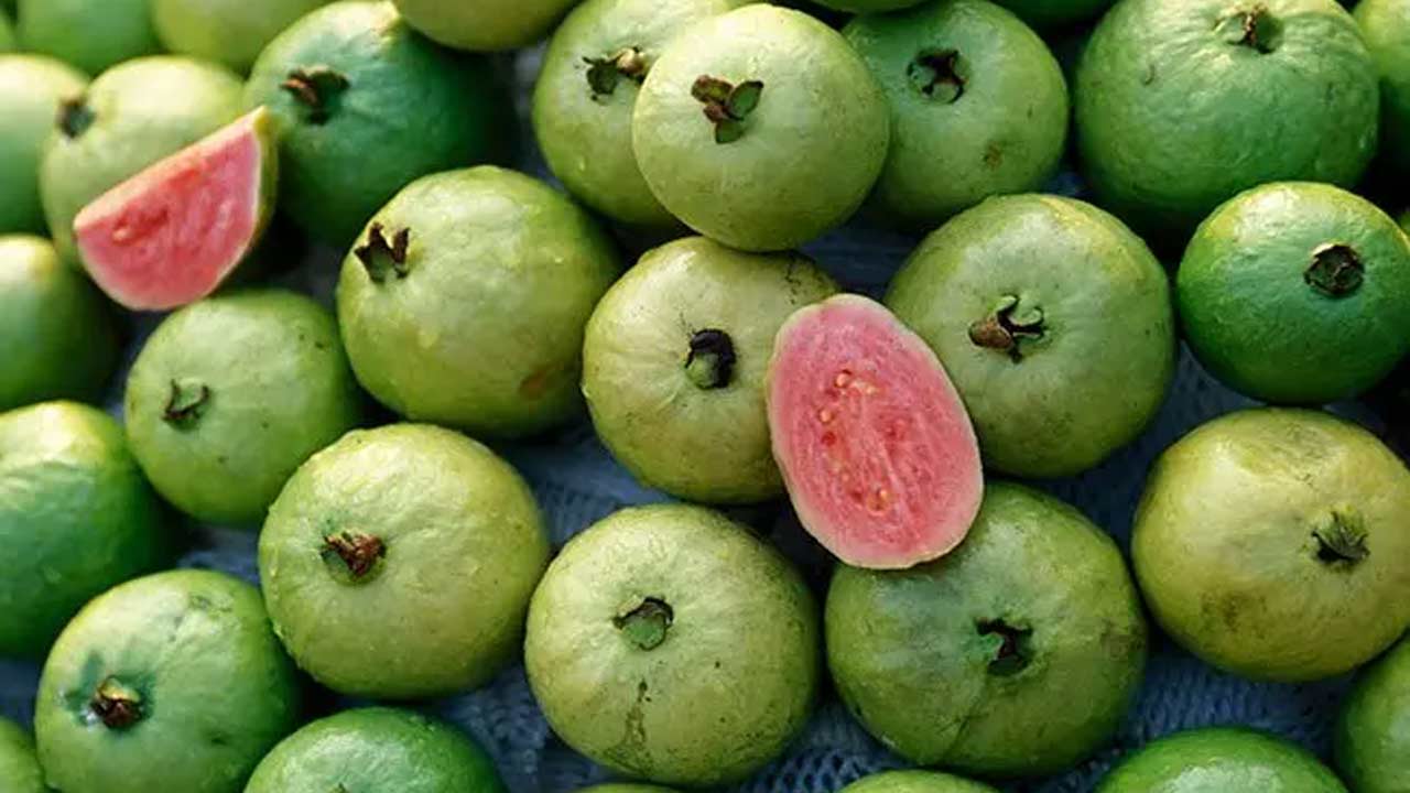 Guava Side Effects: Not Safe for Everyone