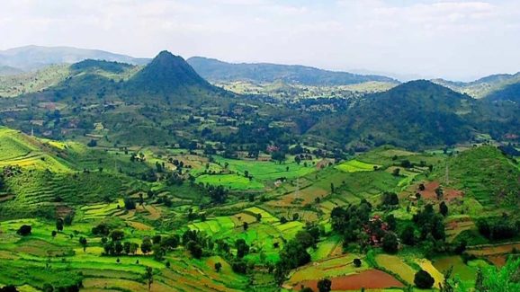 Top 7 Hill Stations Near Hyderabad for Weekend Escape With Your Partner