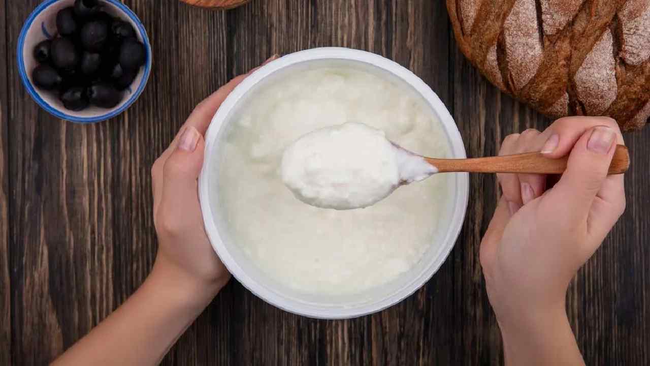 What is the Best Time to Eat Curd for Maximum Health Benefits?